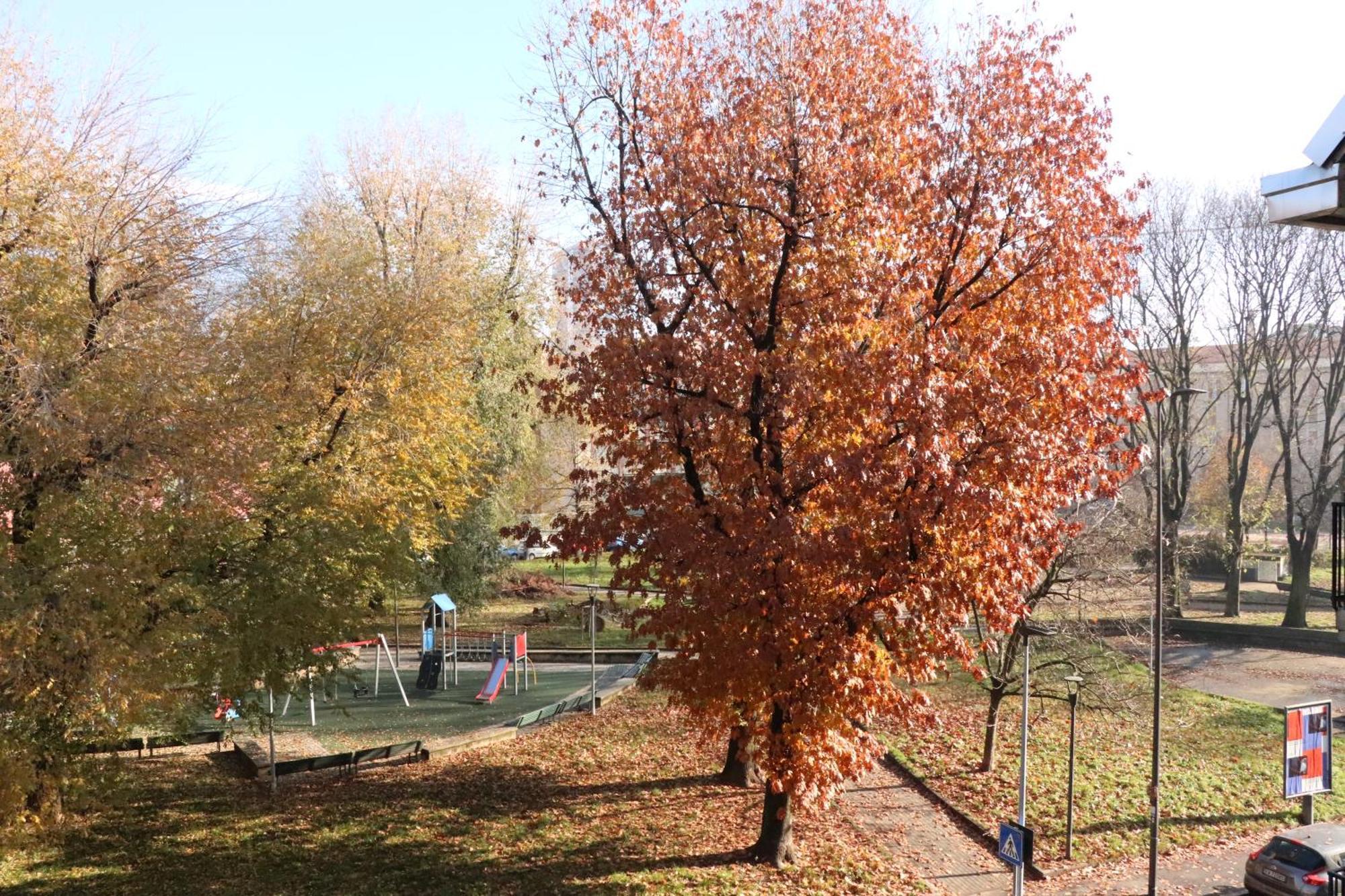 Appartamento Milano, Bovisa Politecnico, Dergano Metropolitana, Wifi - Garden Eksteriør bilde
